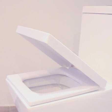 Vibrante WC Monoblocco Collegamento