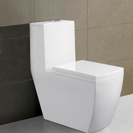 Monobloc Floor-standing WC - White Ceramic - 35x68 cm - Millenium |Rue du Bain